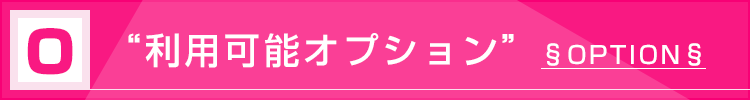 ねおんちゃん利用可能オプション